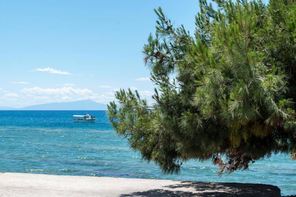 Endless Sea View House Villa Неа Ираклия Екстериор снимка